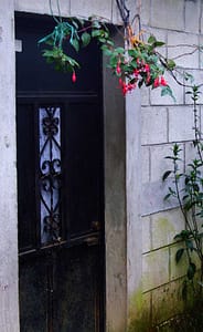 House Door in Fatima
