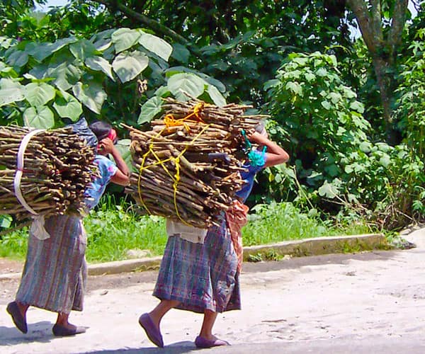 Women carrying wood